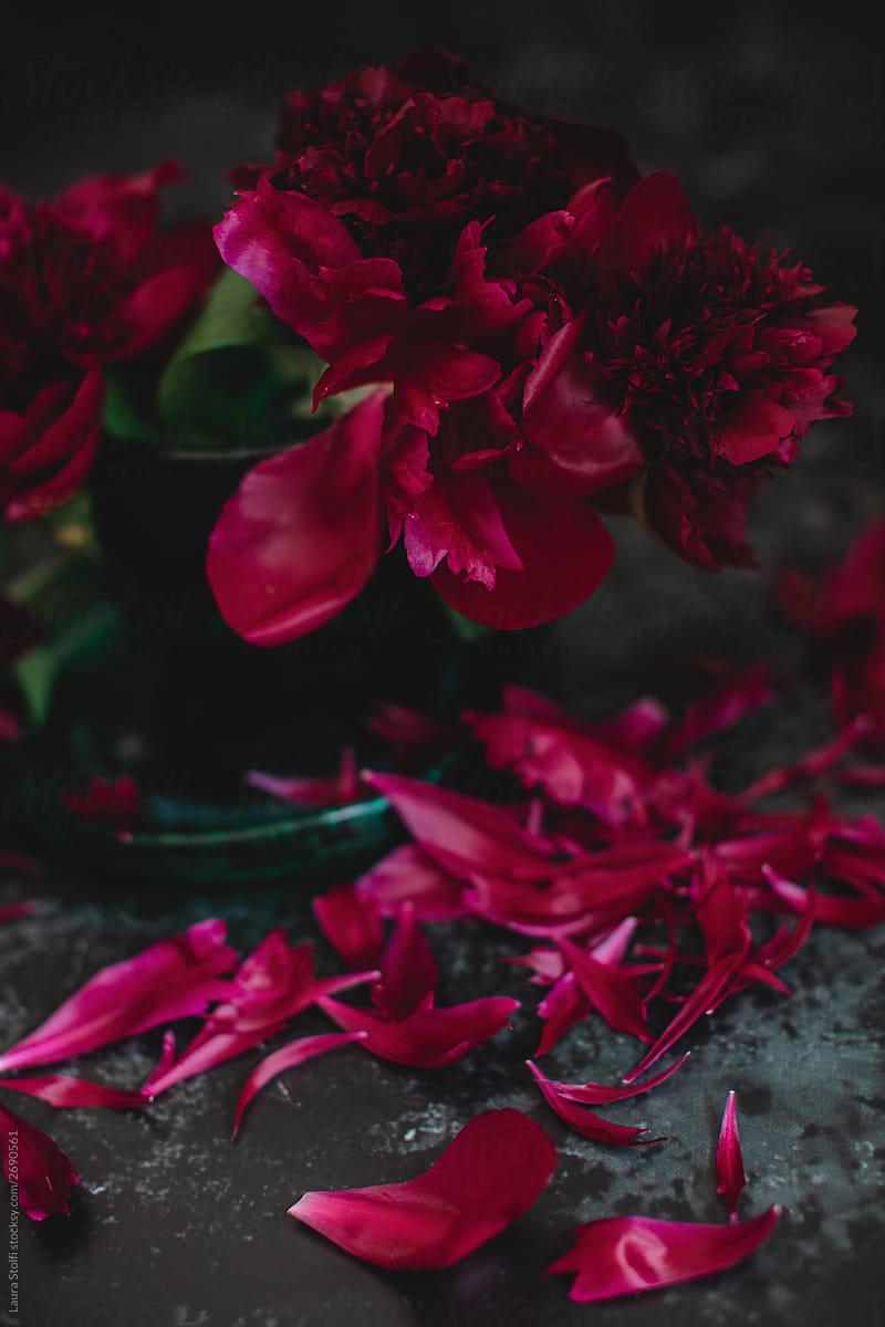 Fallen petals close to red peonies vase in the dark
