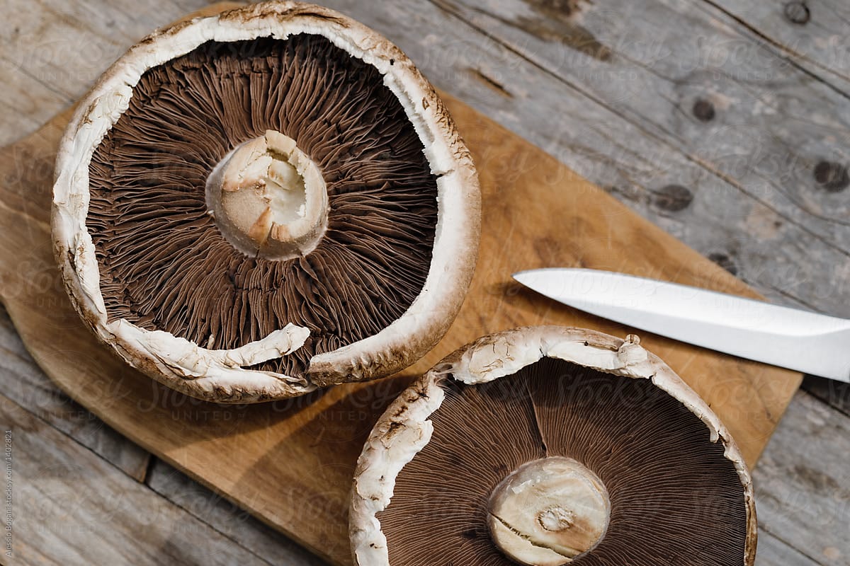 Edible Agaricus mushrooms