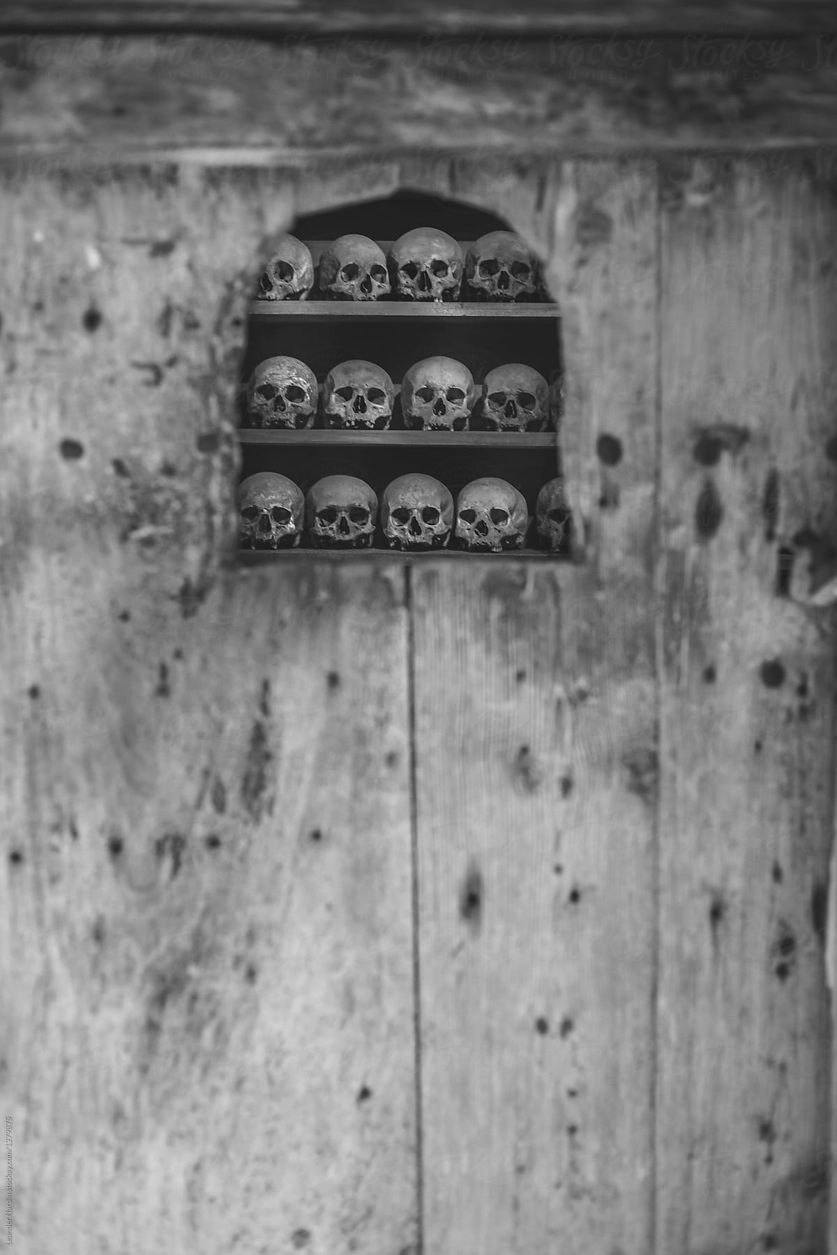 skulls behind a wooden door