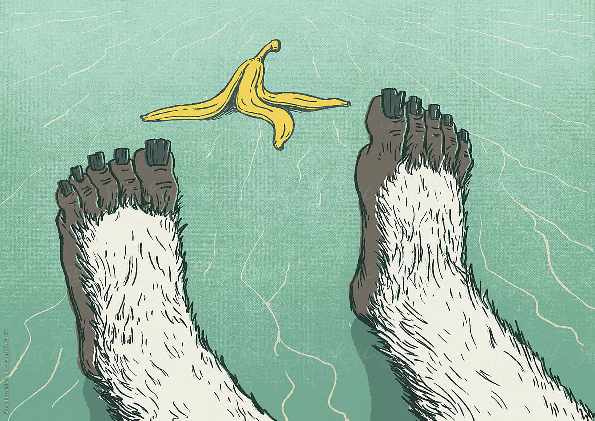 Yeti Feet Slipped On Banana Peel On Ice