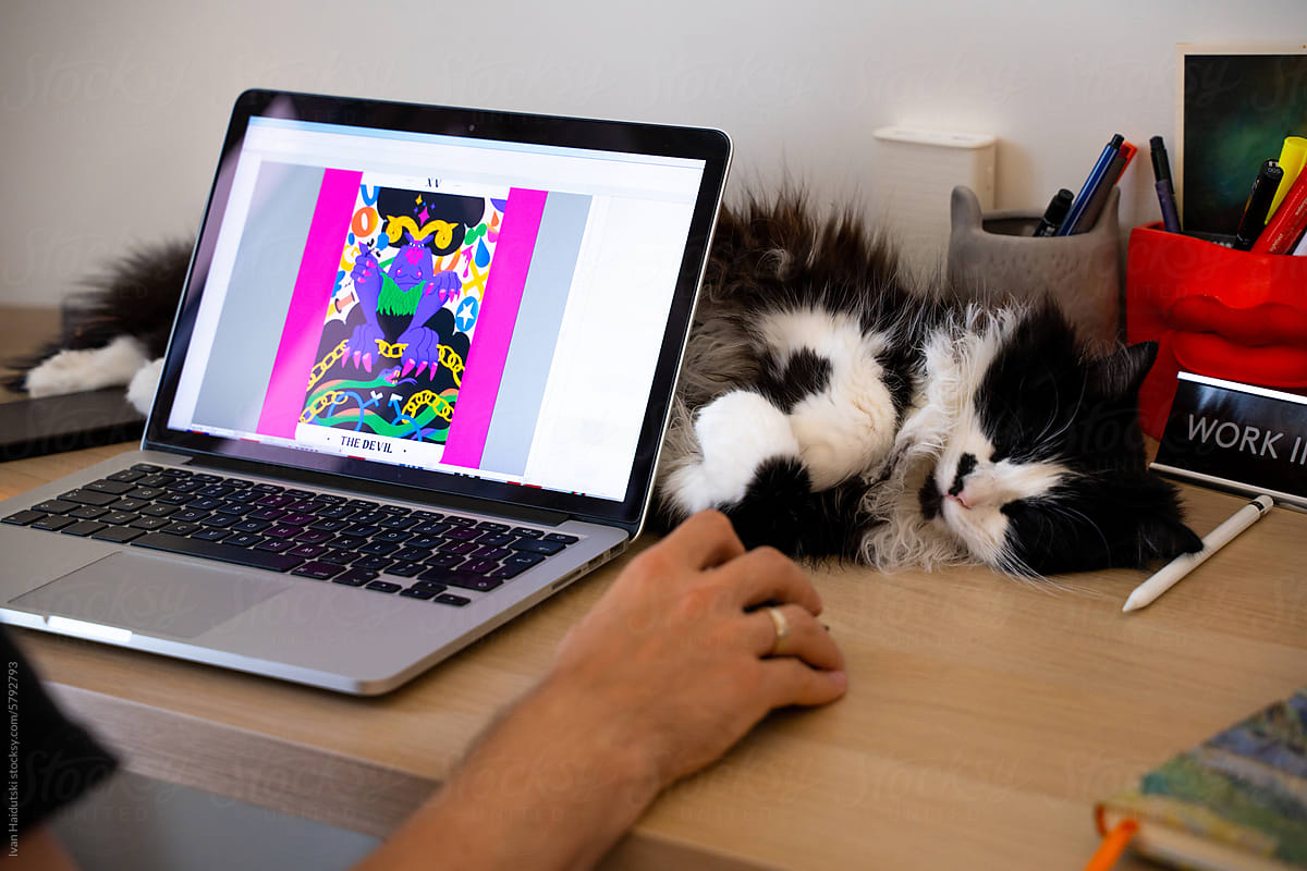 Cat napping at home workspace, freelancer create digital illustration