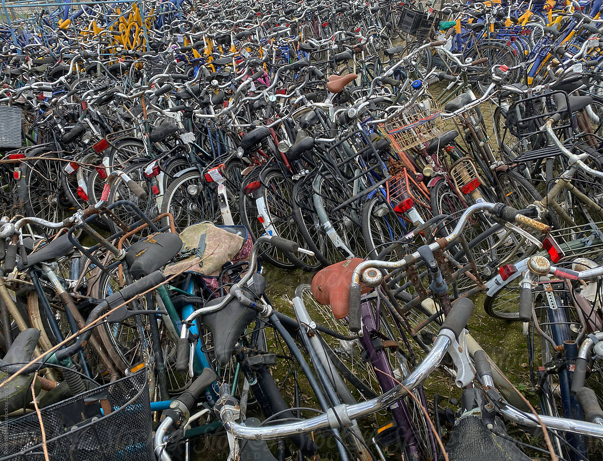 many bicycles
