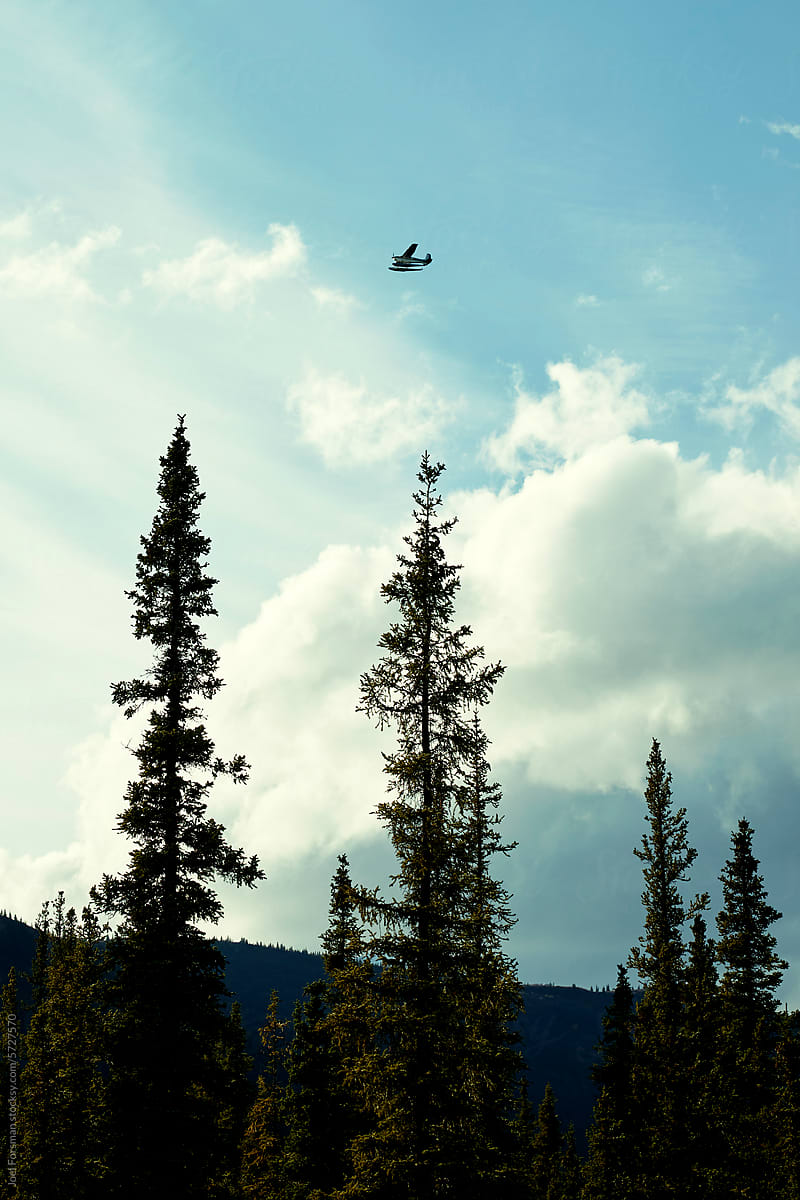 a bush plane flying over pine trees and mountains in alaska