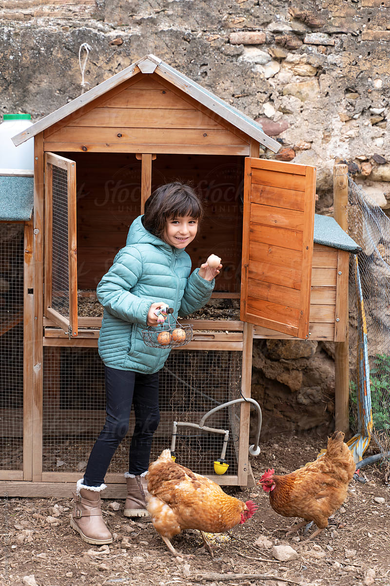 UGC, Happy kid picking eggs from chicken coop