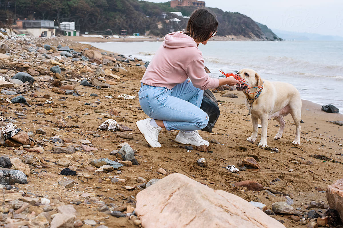 Female volunteer and dog cleaning seashore from rubbish