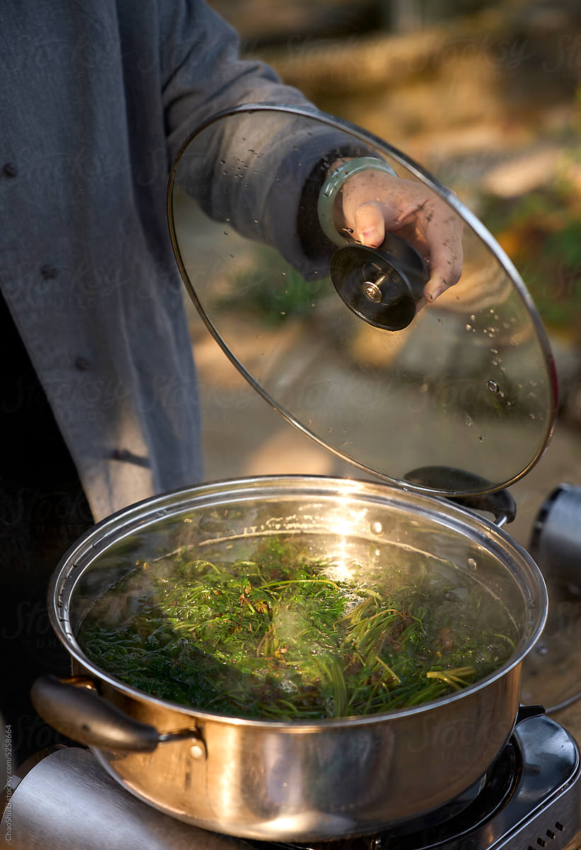 Closeup paint water being boiled with fresh wormwood