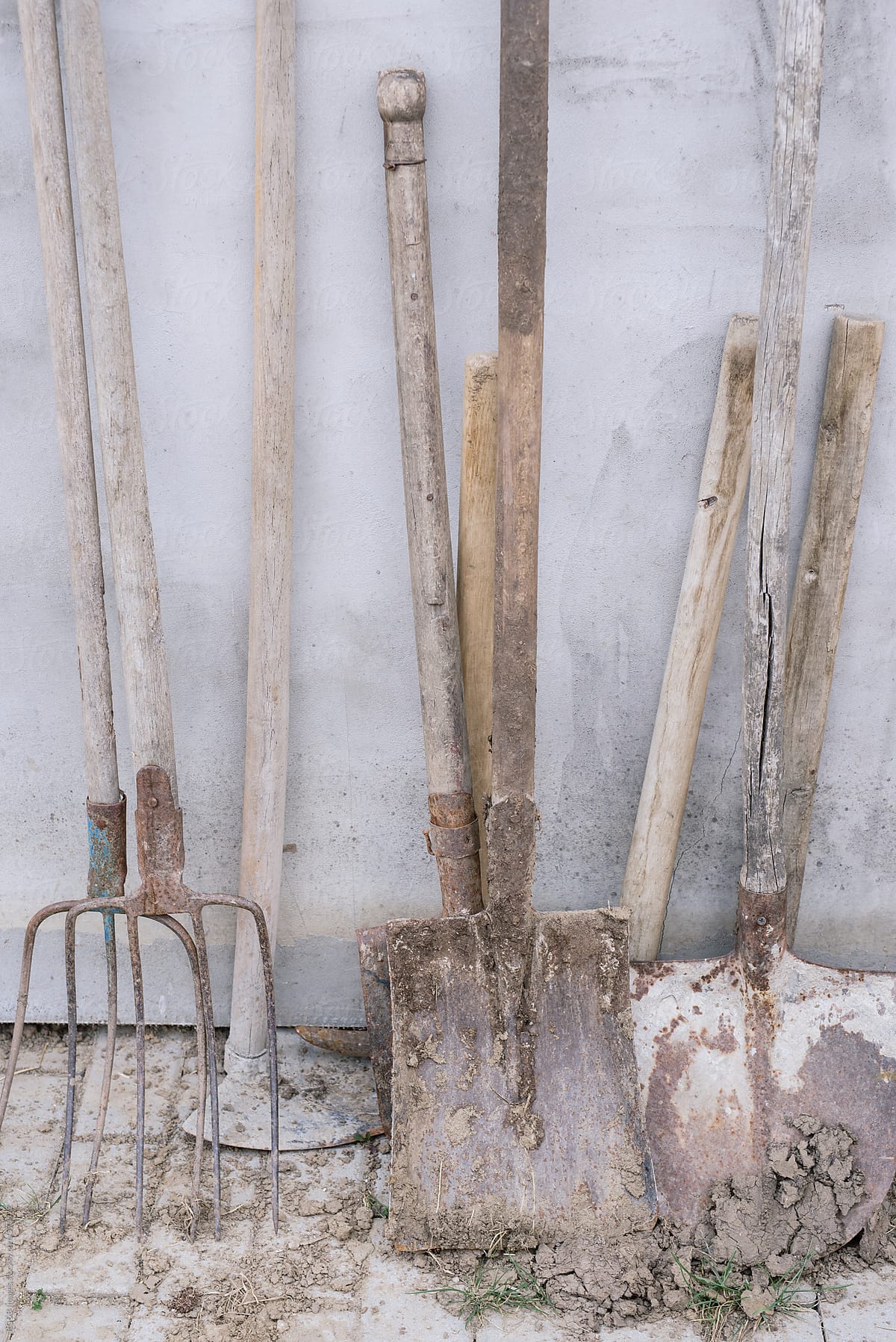 Variety of garden tools leaning on a concrete wall