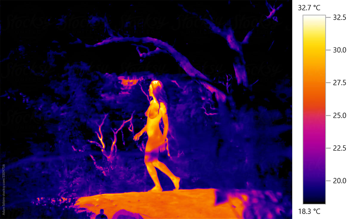 Female nude, naked woman - thermal heat image in nature