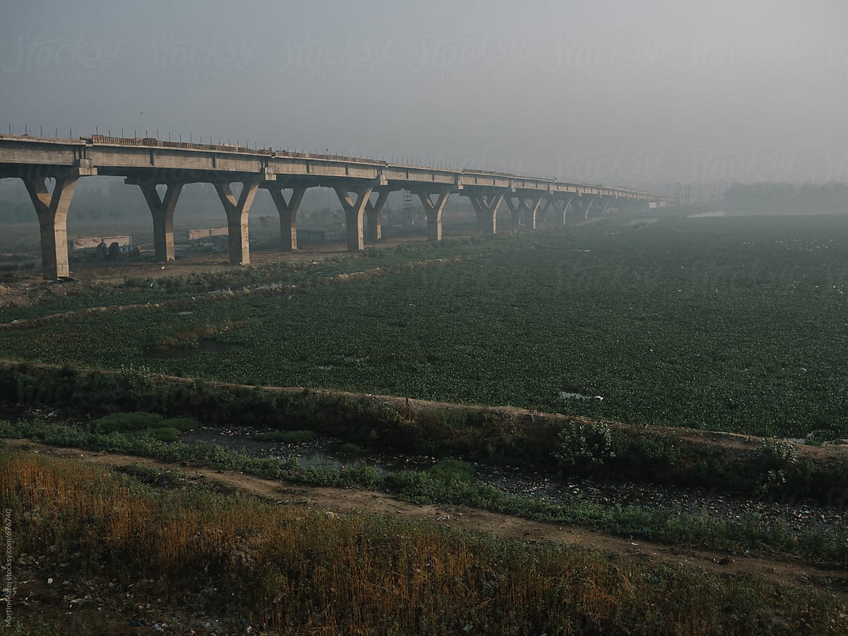 Bridge in field in India
