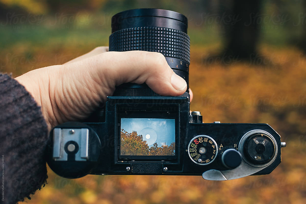 hand holding camera with viewfinder in autumn