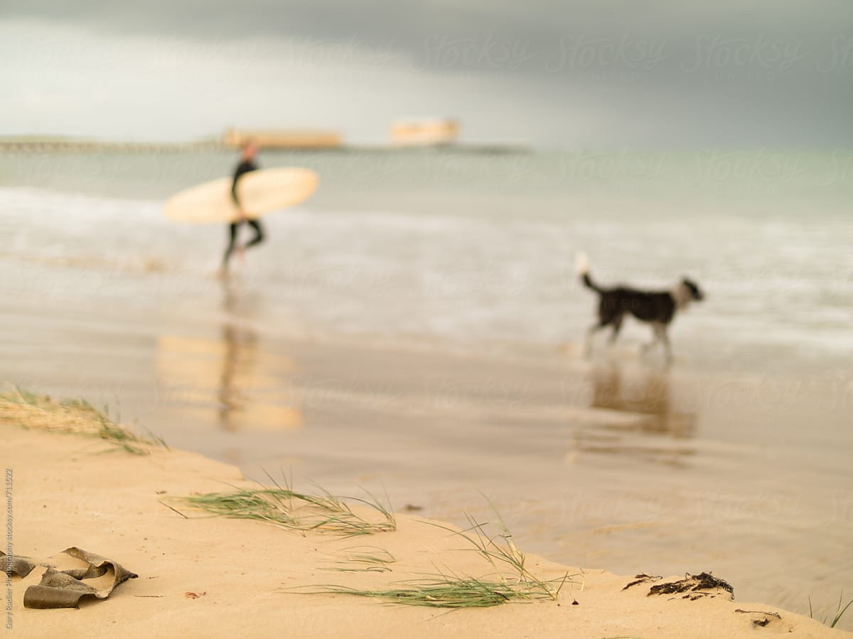 Surfer and his Dog in Queenscliff