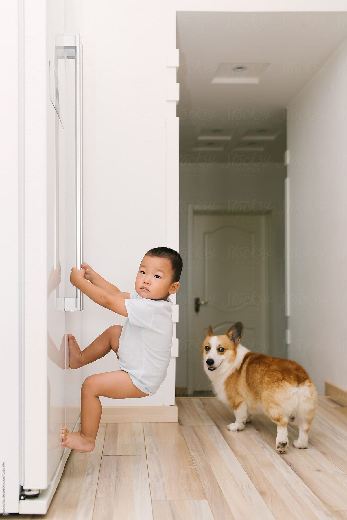 Toddler boy hanging on the door of fridge