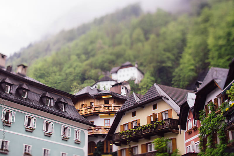Low perspective of Austrian houses against of tree slope