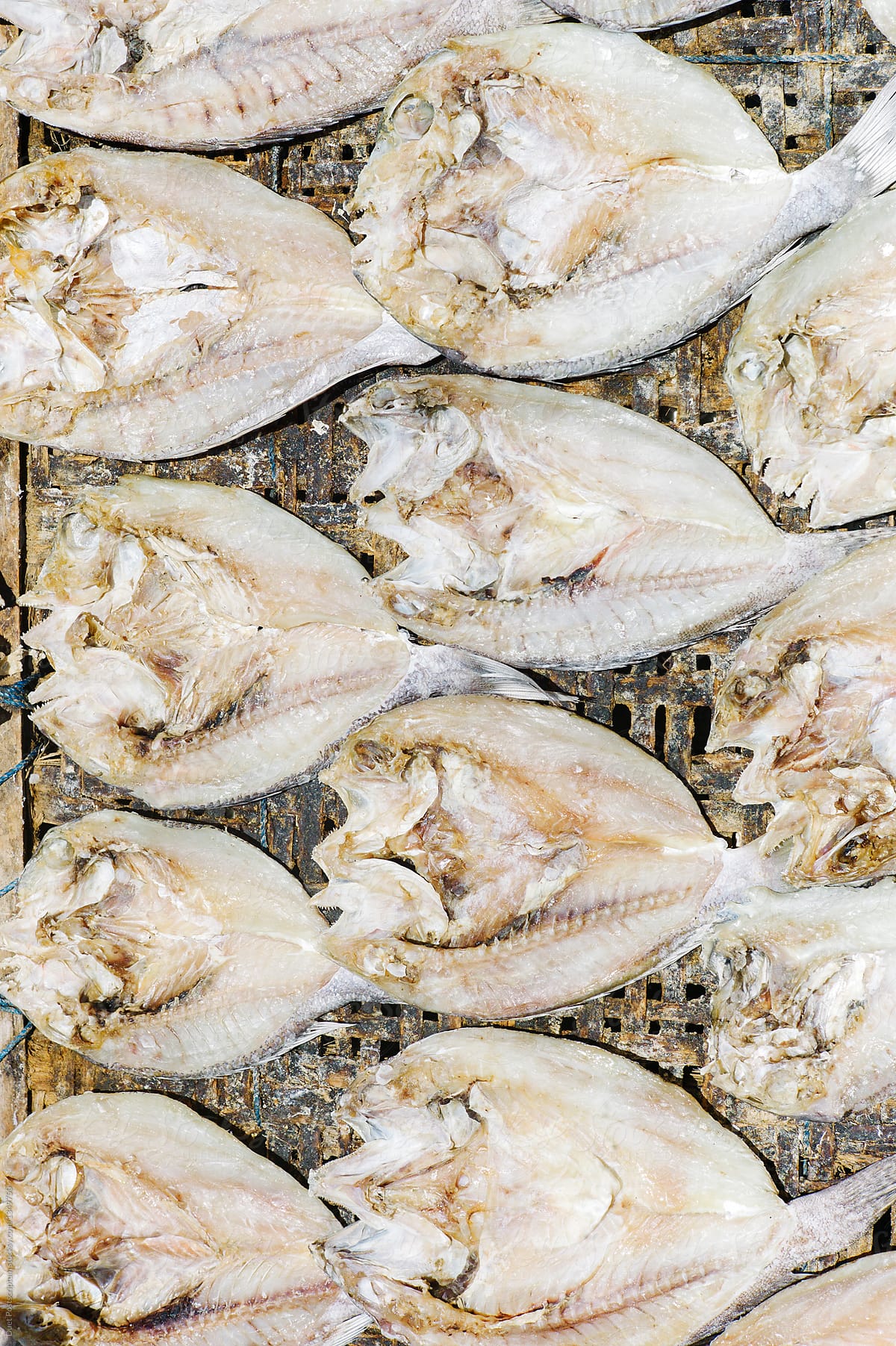 The prepared fish fillets