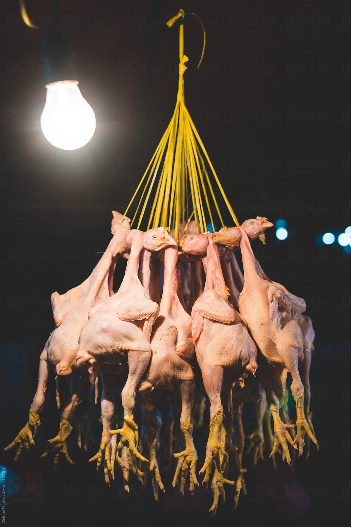 A Bunch Of 10 Dead Plucked Chickens Hanging From Metal Hooks In