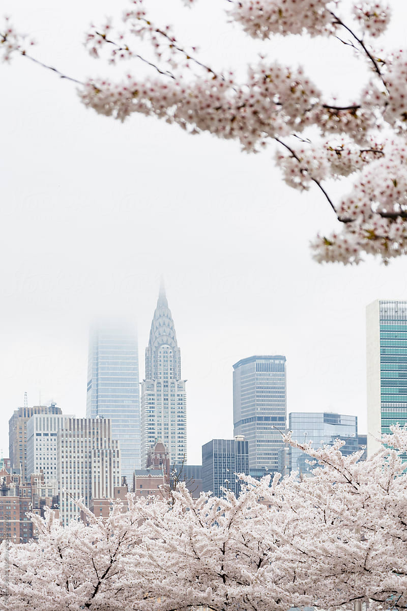 Iconic New York City buildings with spring blossoms