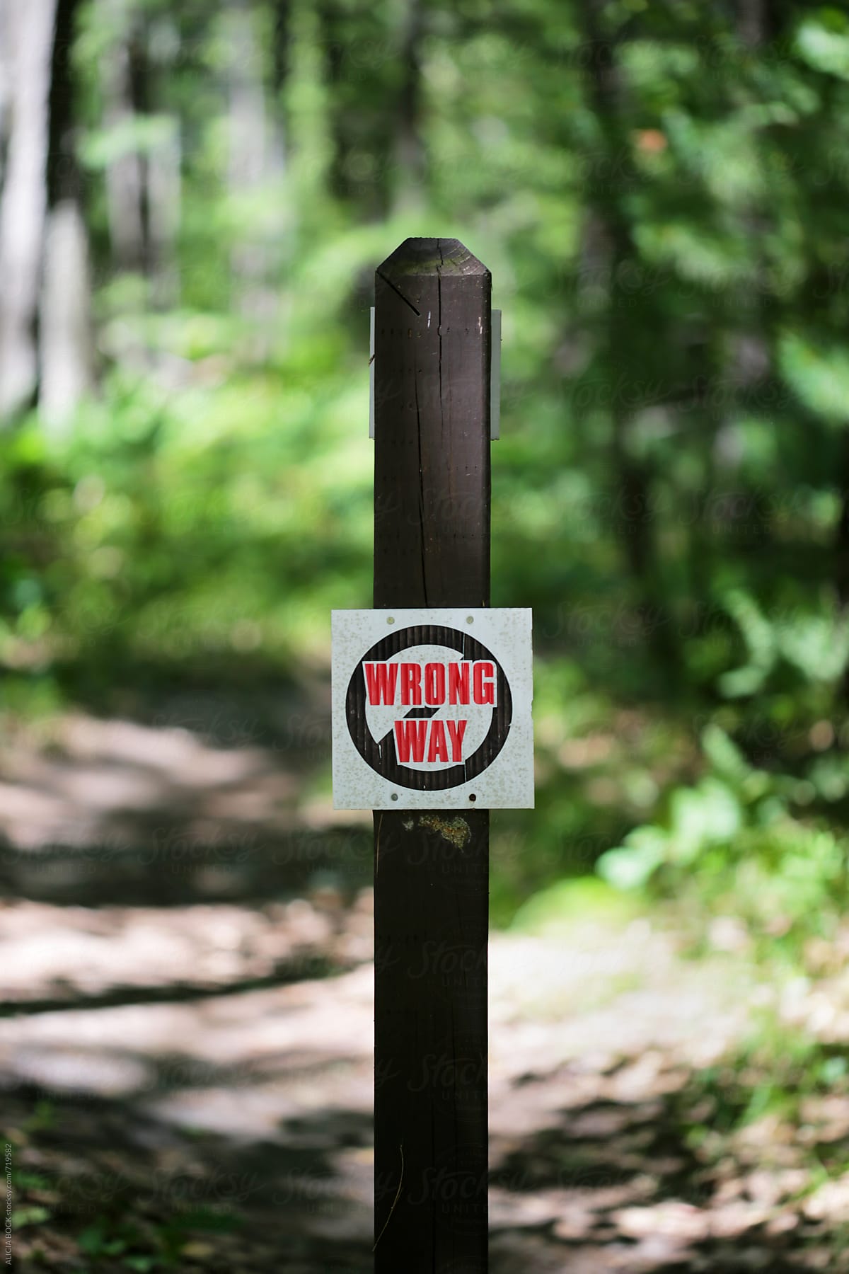 A Wrong Way Sign On A Wooded Trail