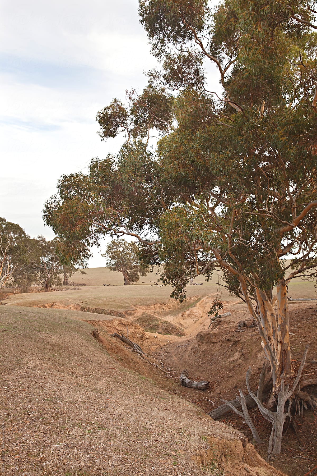 Dry creek bed running through rural property in Victoria, Australia