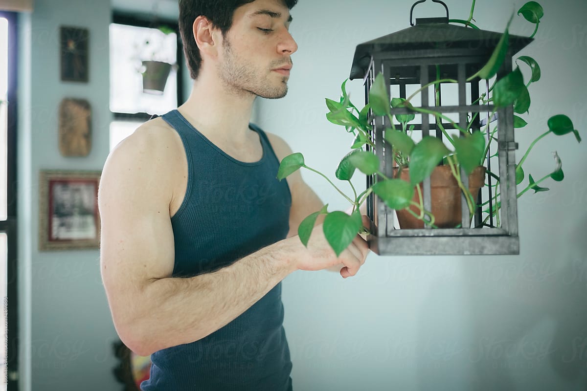 Man Watering and Taking Care of Indoor Hanging Plant at Home
