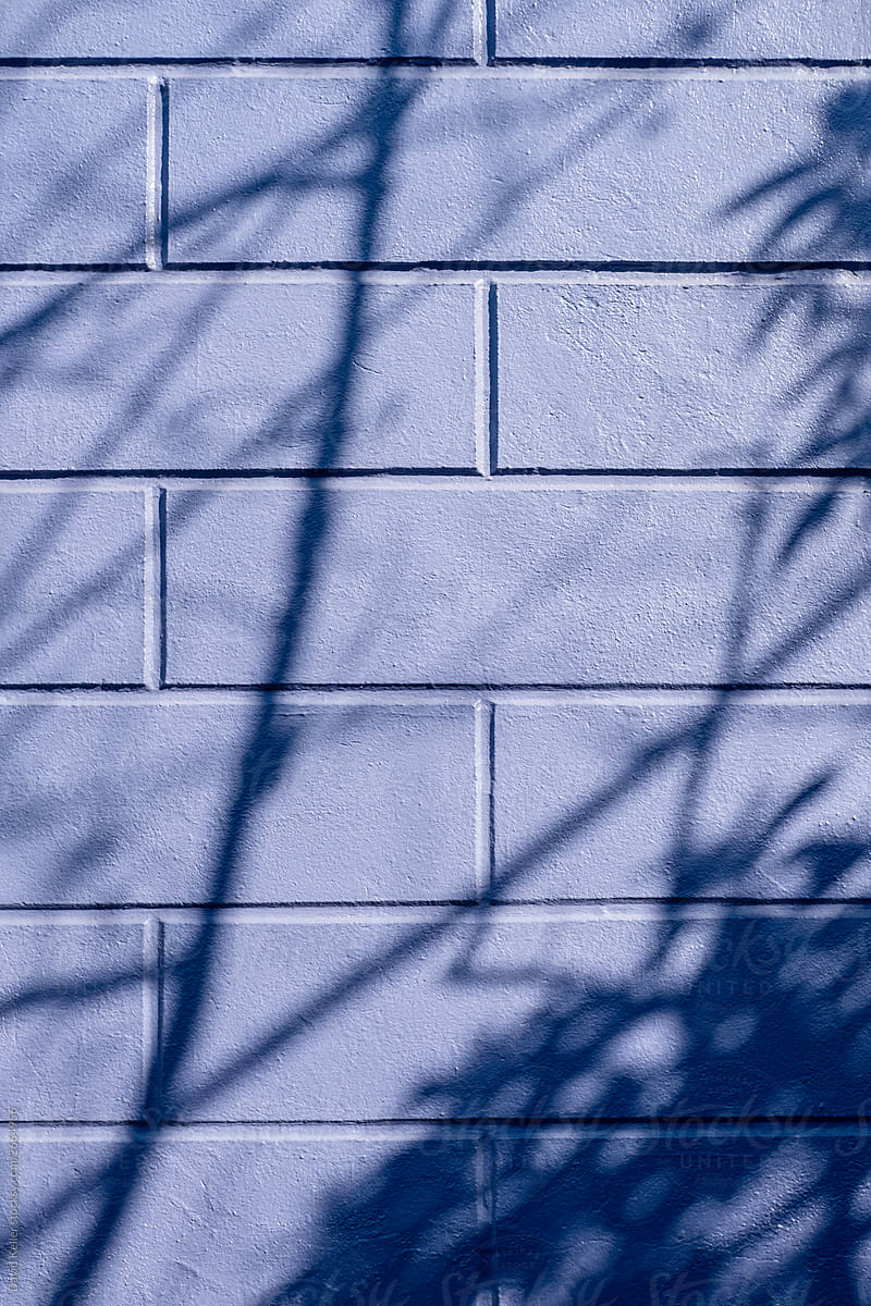 Sunlight shines on a purple building with shadows casting