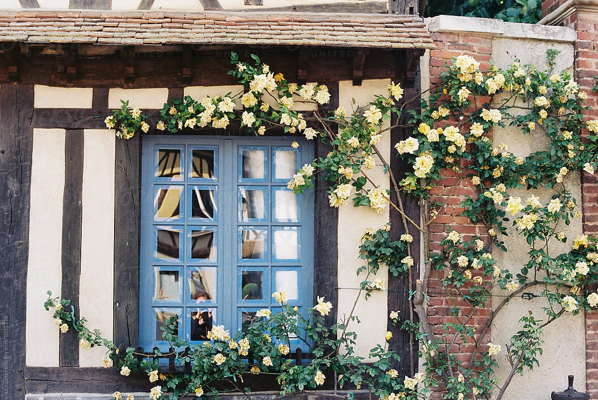 rustic blue window with yellow roses