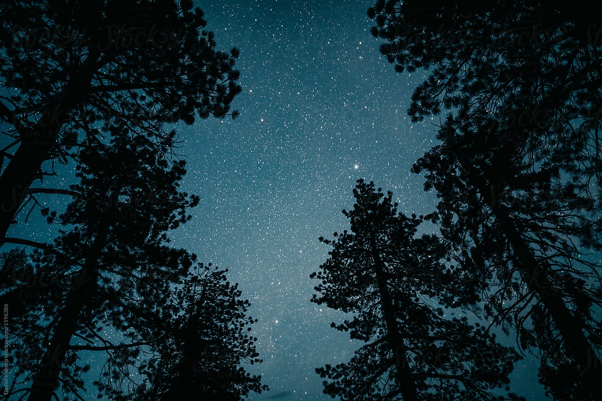Night photography in Yosemite National Park