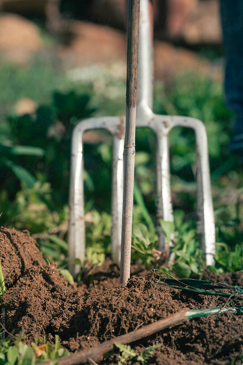 Pitchfork and wooden stick in soil