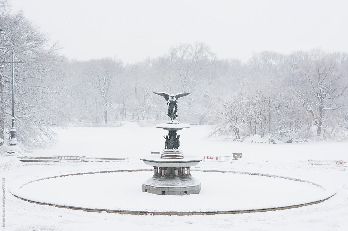 Central Park During Snowstorm. by Kristin Duvall - Winter, New York City