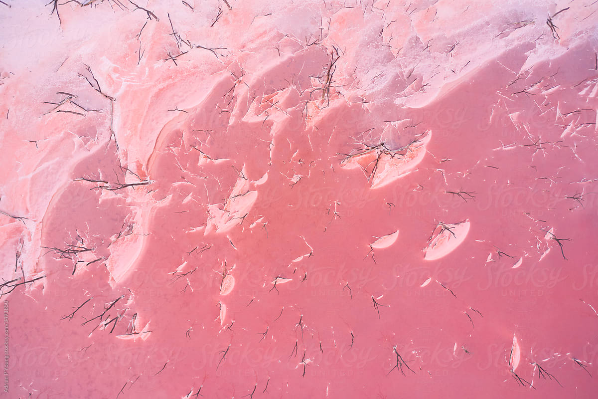 Salty Shores of a Pink Lake