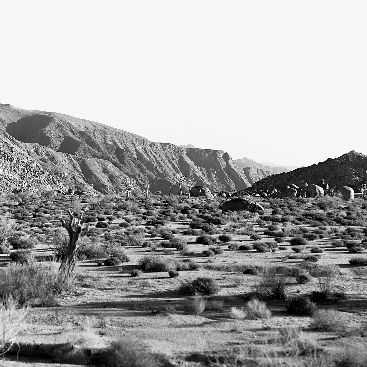 black and white desert landscape