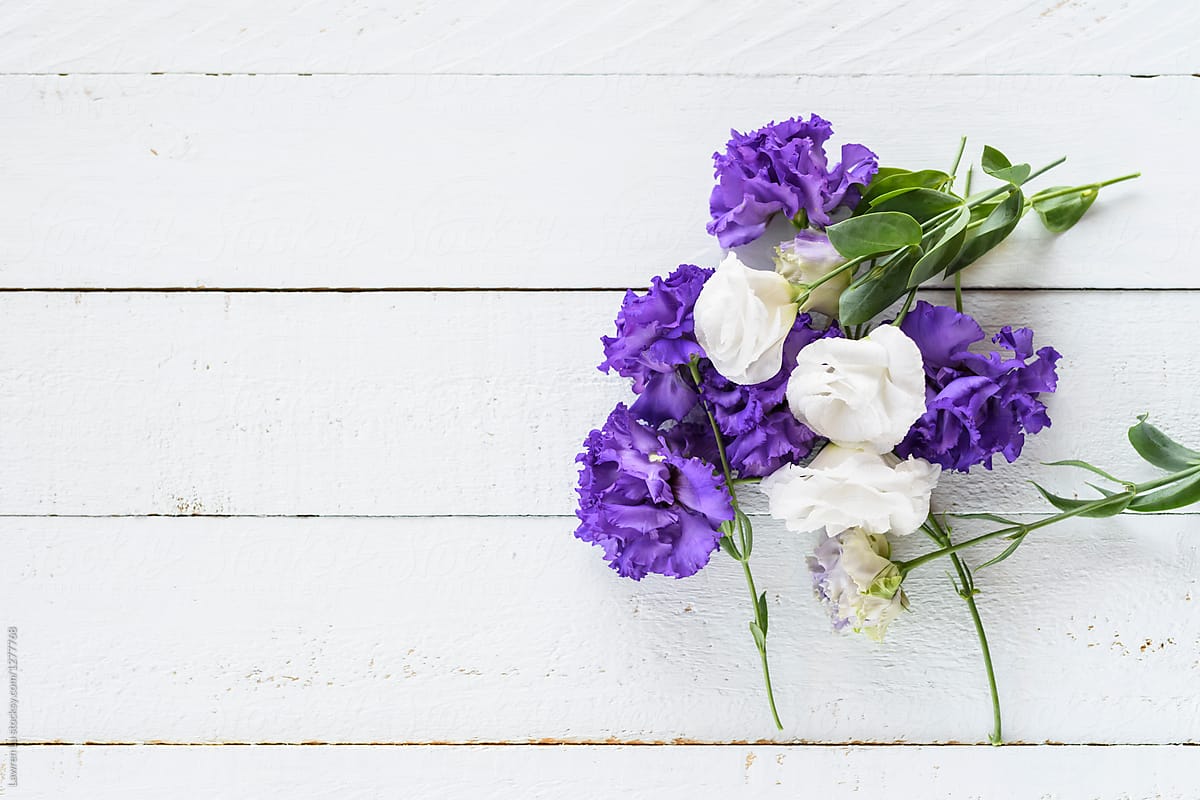 Contrast purple and white flowers on white wooden surface.