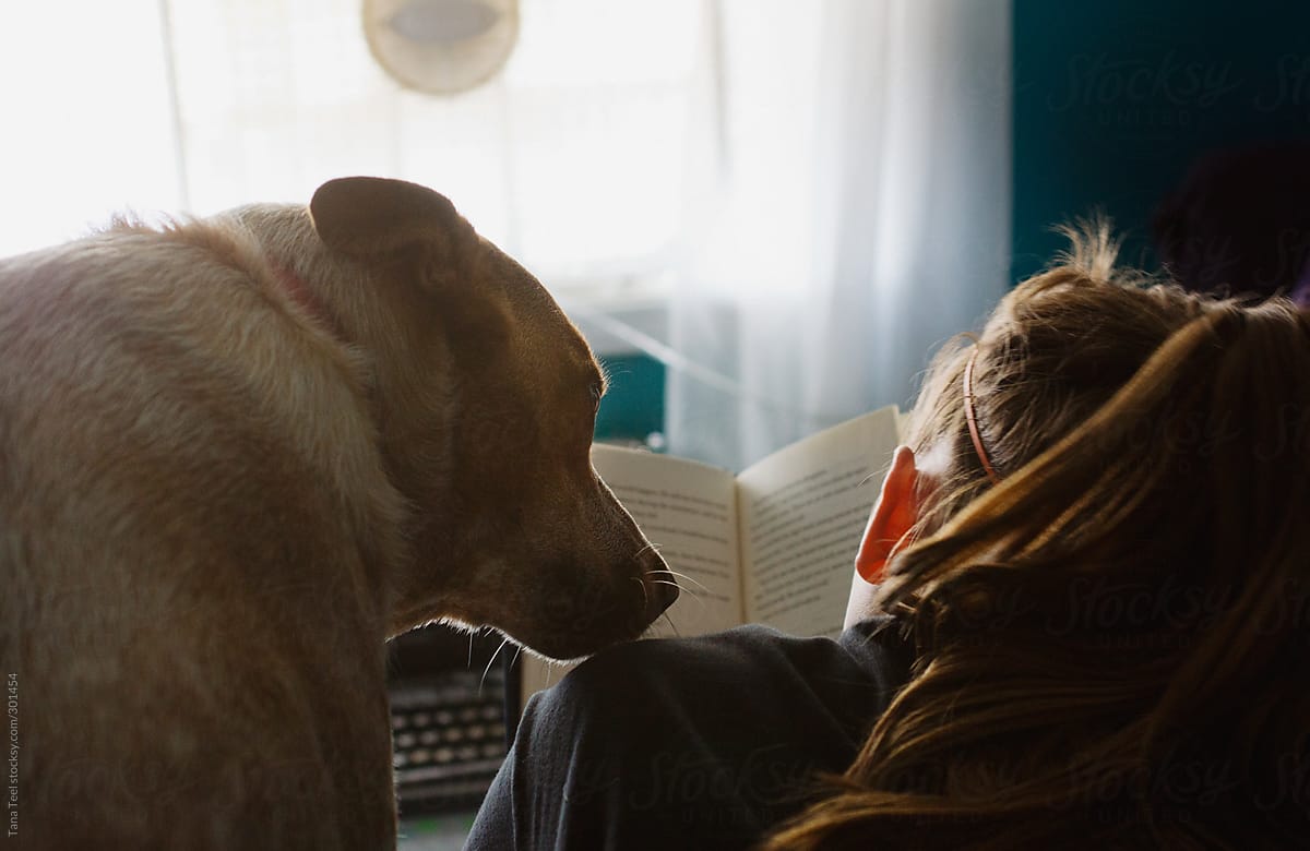 Dog leans over to look at her owner who is reading a book