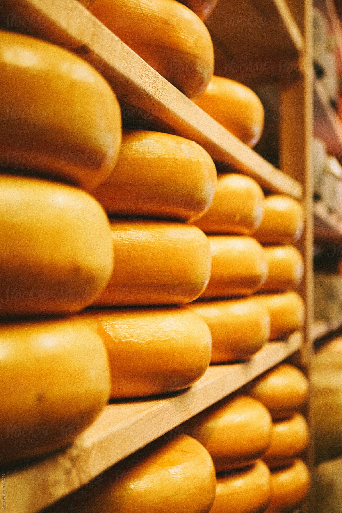 Cheeses stacked on a shelf in a dairy.
