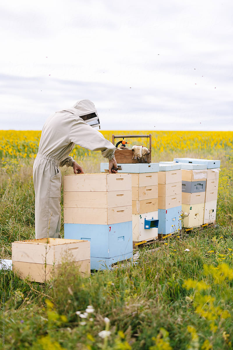 Apiculture agriculture apiary industry