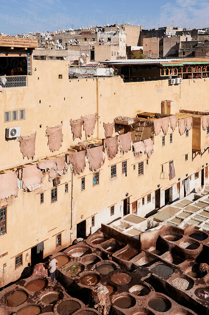 Chouara tannery with pieces hanging Morocco