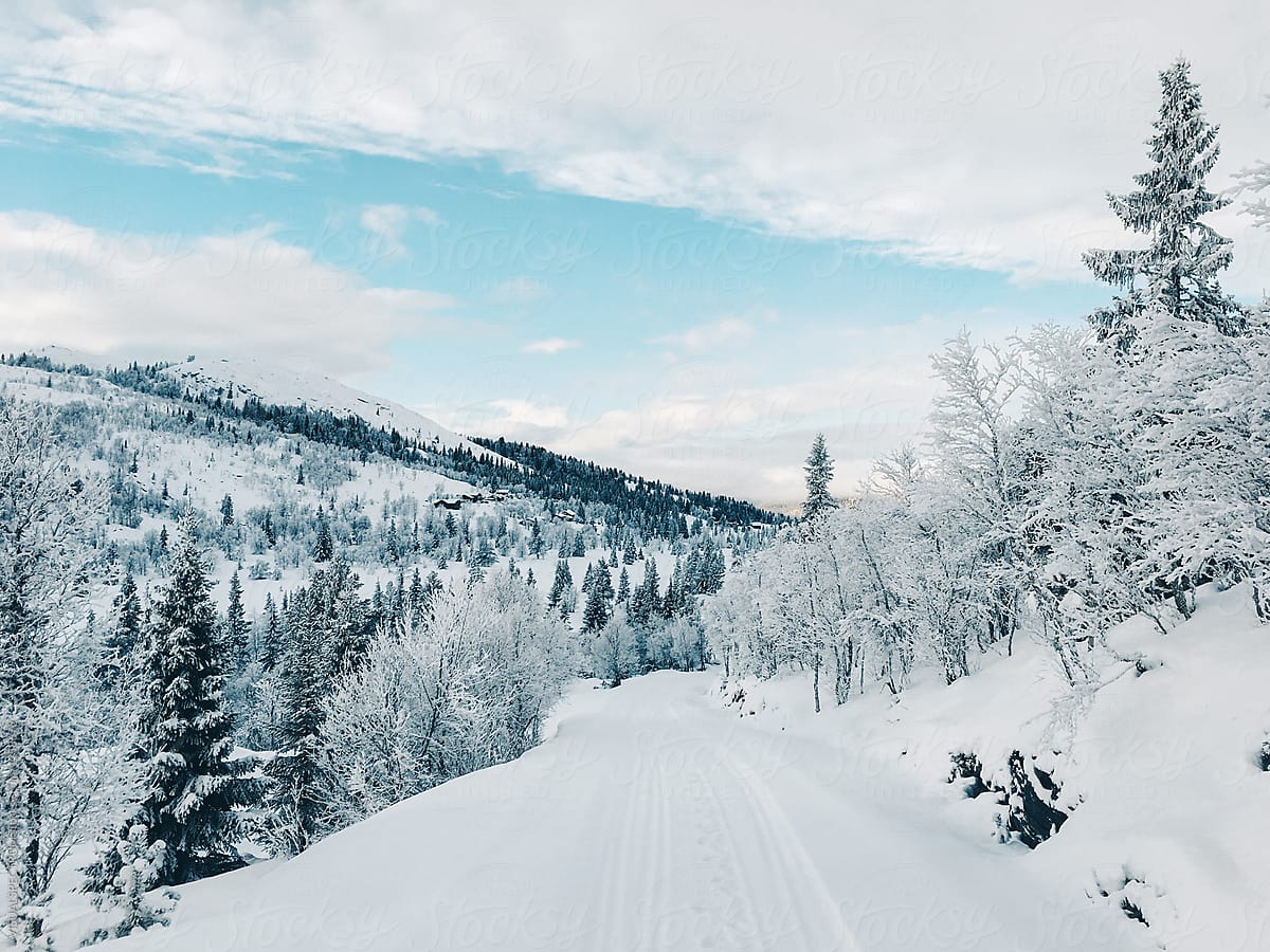 Snowy Landscape In Norwegian National, Snowy Landscape Pictures