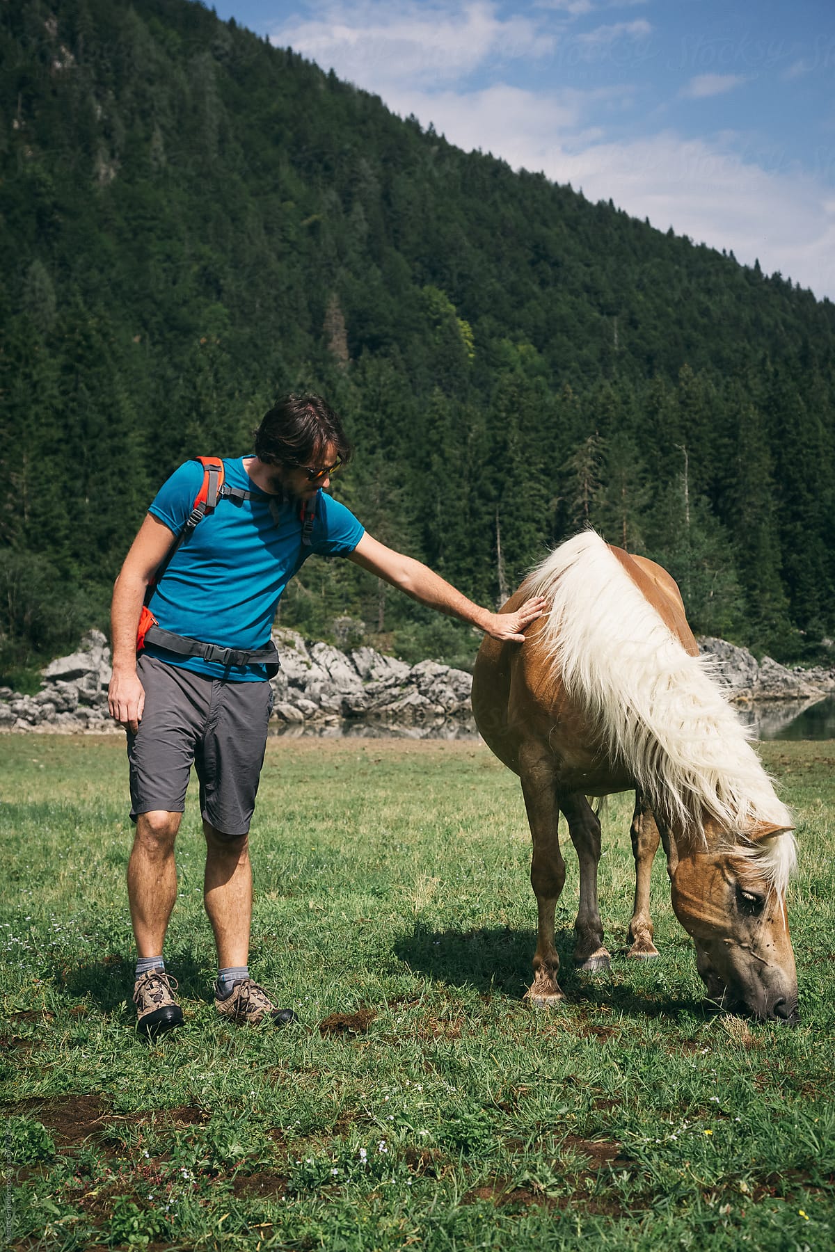 Man encountering a horse on a walk in nature