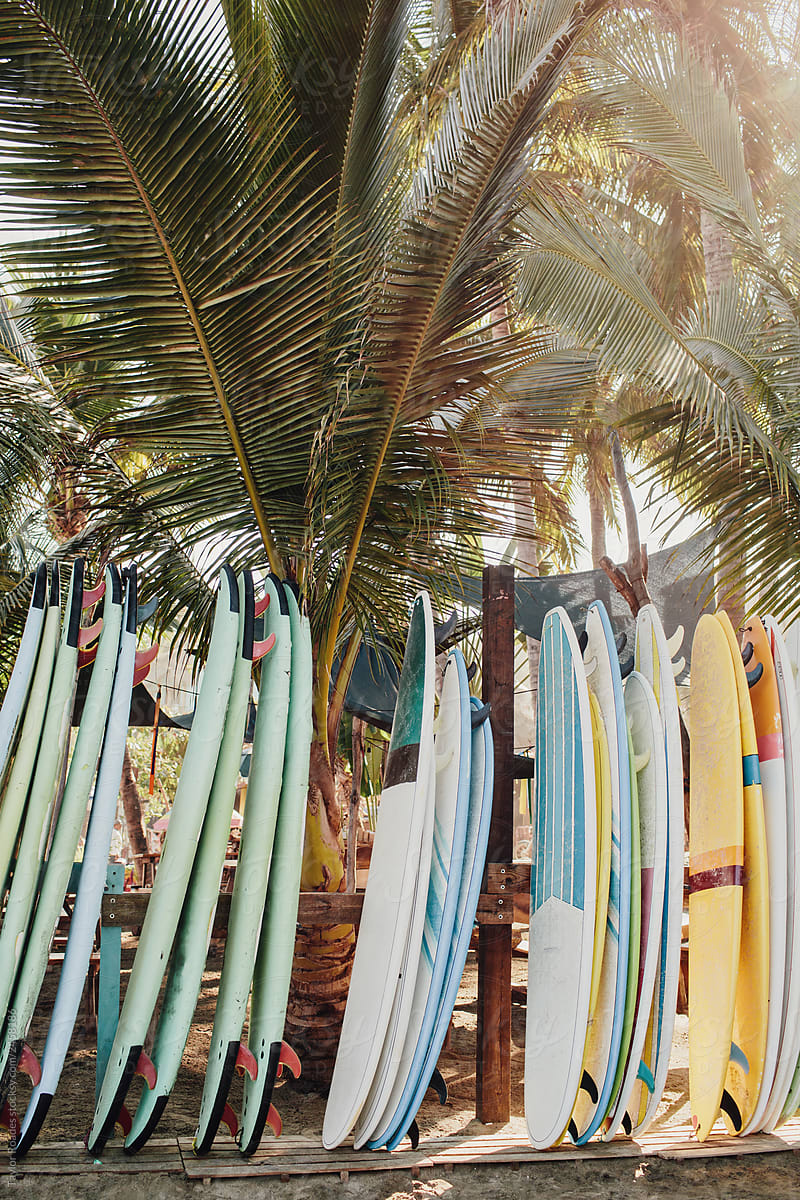 Surfboard Rentals in the Sun