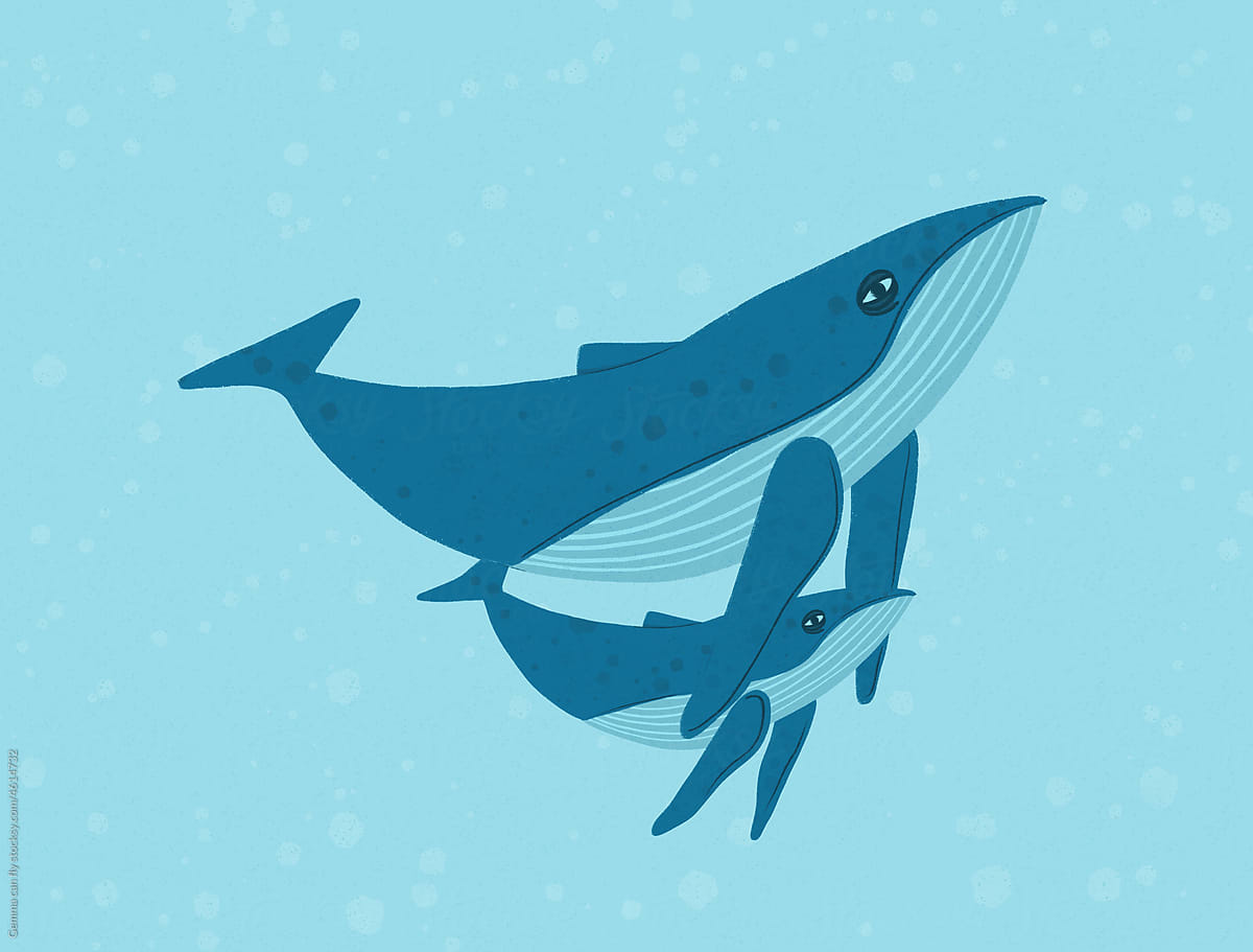 Whale in sea minimal illustration