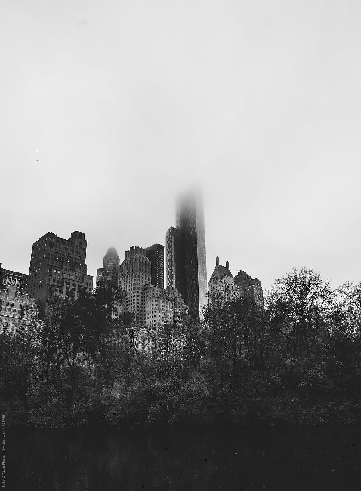 Foggy city over trees
