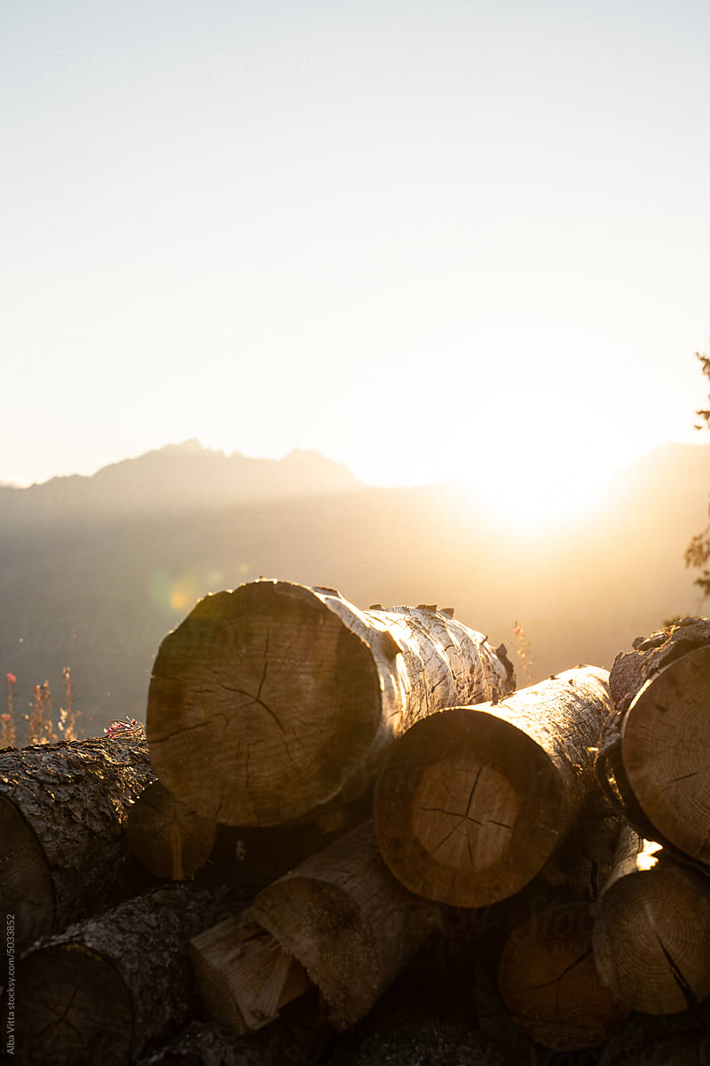Lumber at sunset
