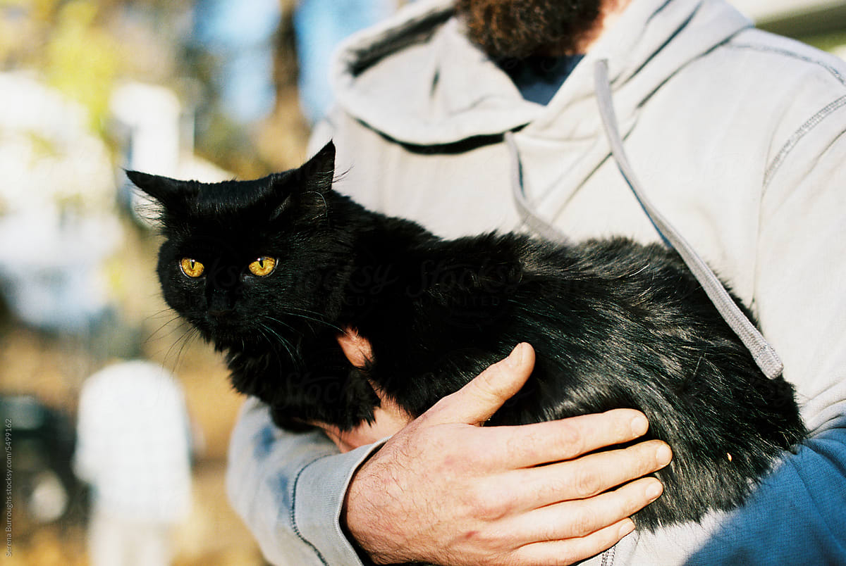 millennial man holding black cat in backyard outdoors in autumn
