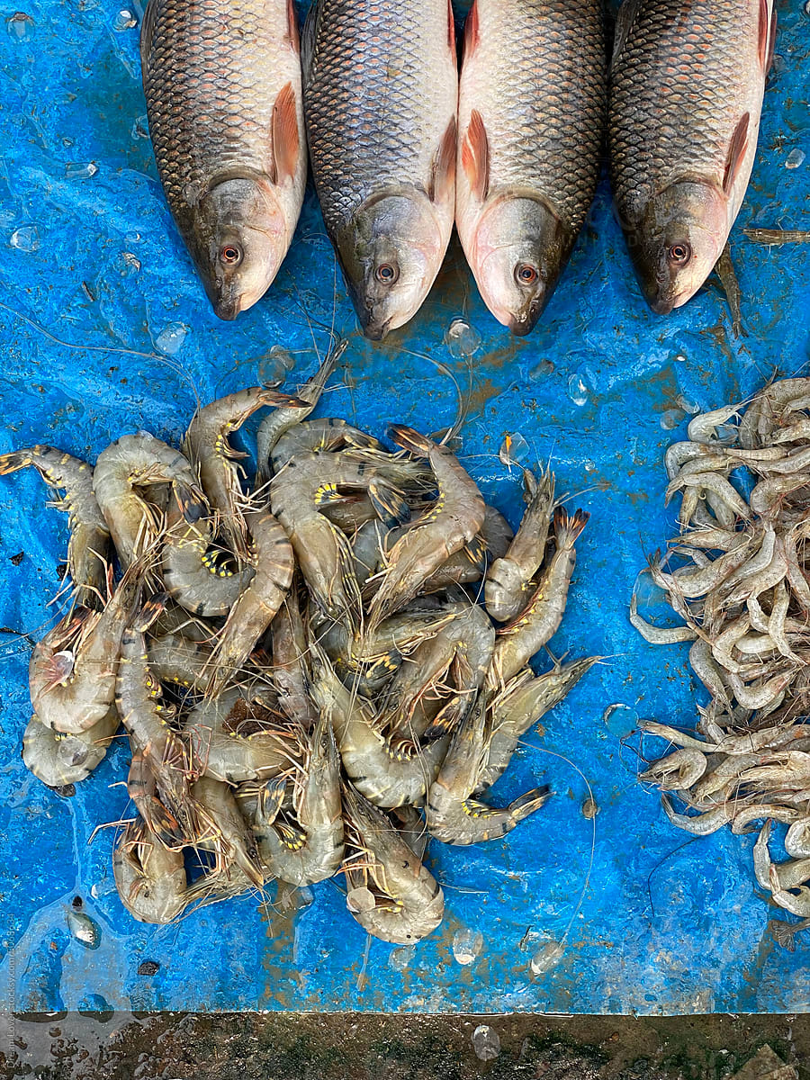 Sea and river raw fishes are selling in a small local market
