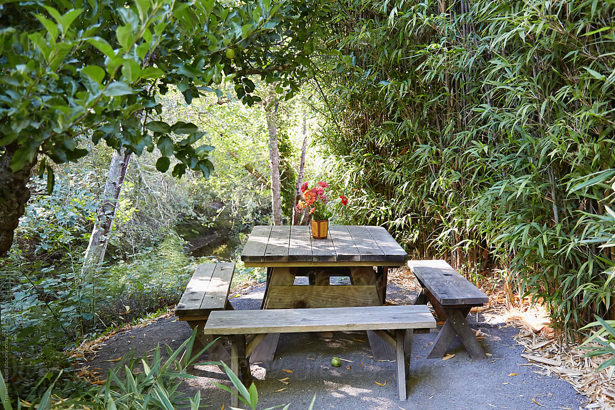 Wood picnic table in nature area
