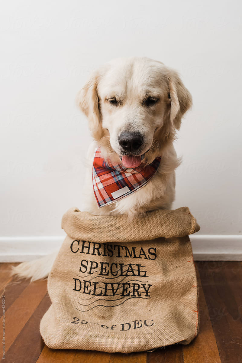 christmas delivery