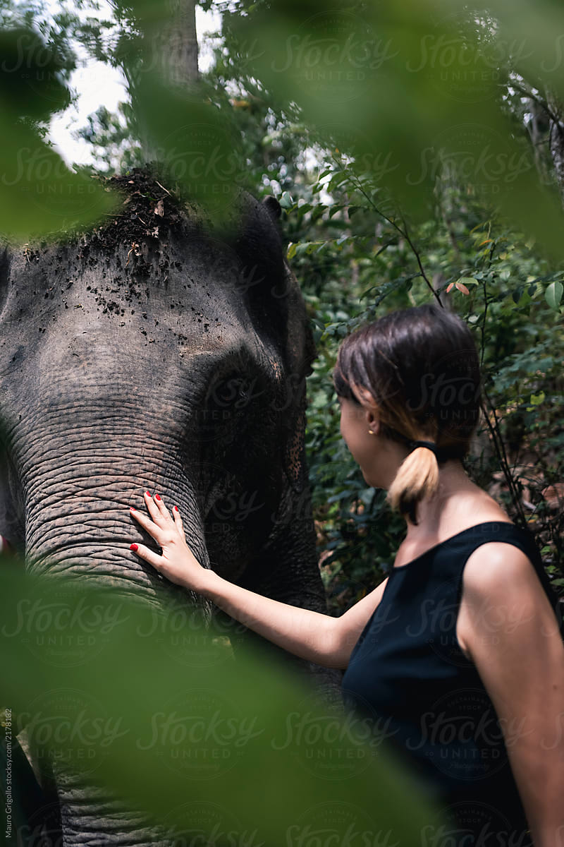 Woman strokes an Elephants in nature