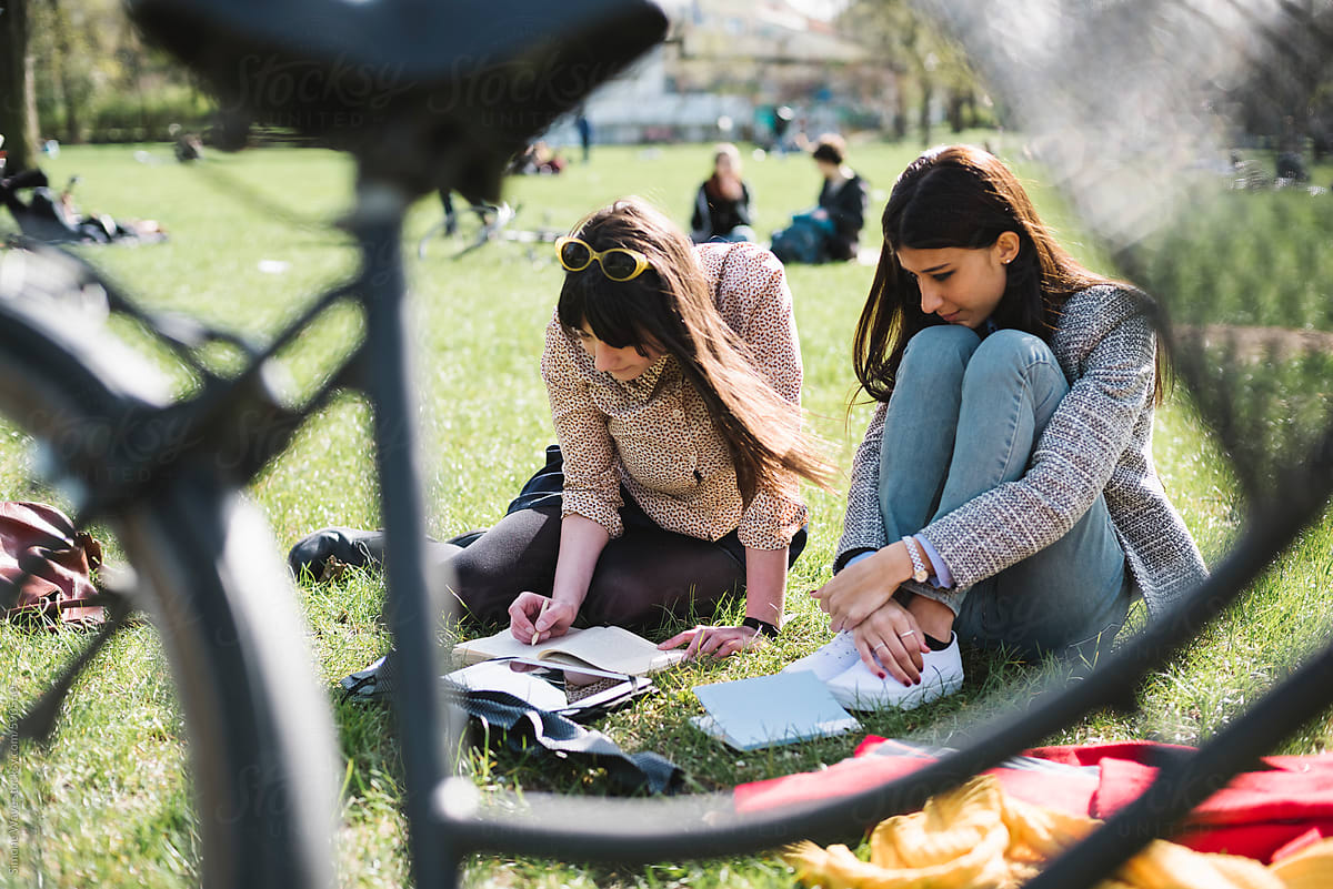 Students studying in the park