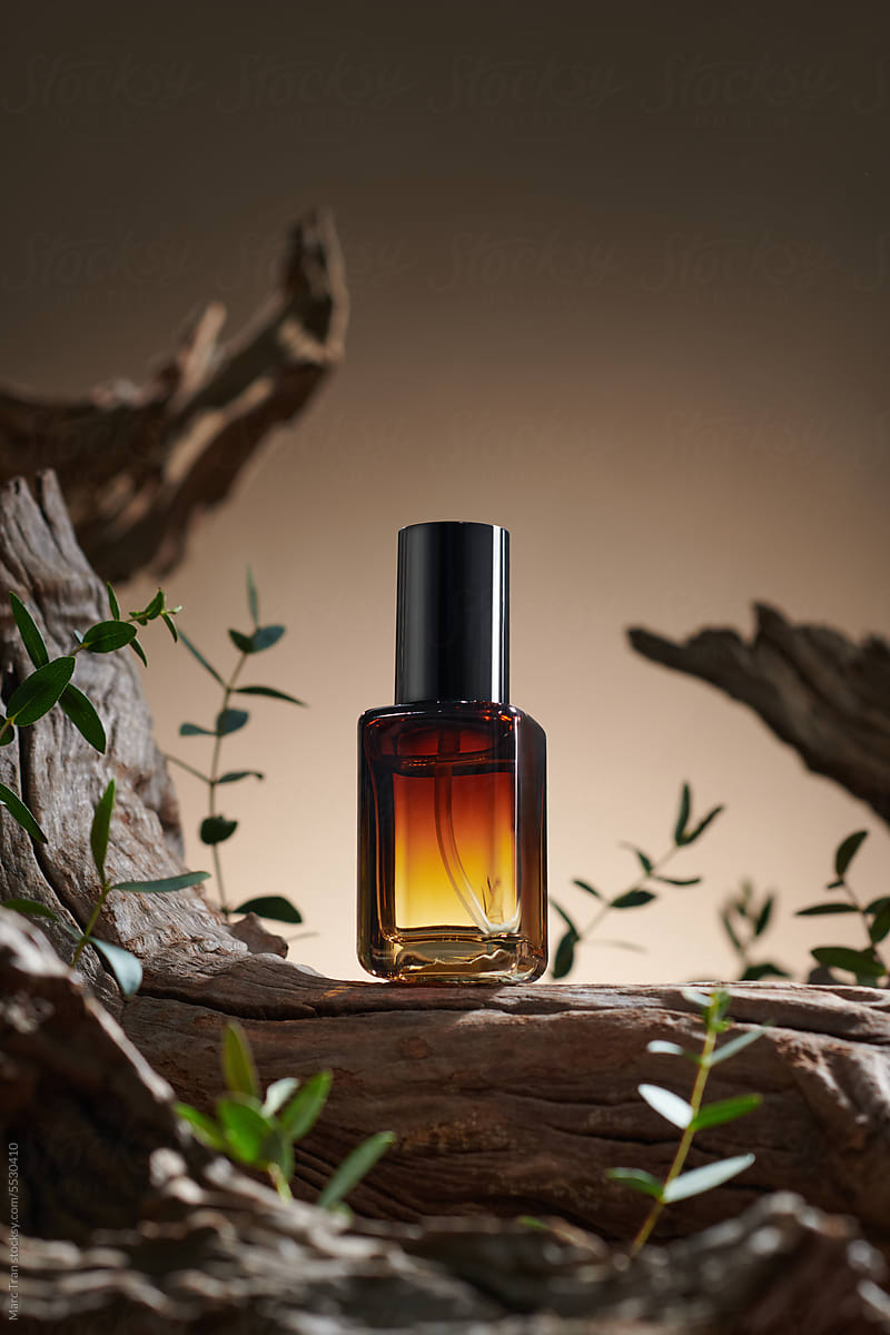 A glass bottle of perfume near a dry branch
