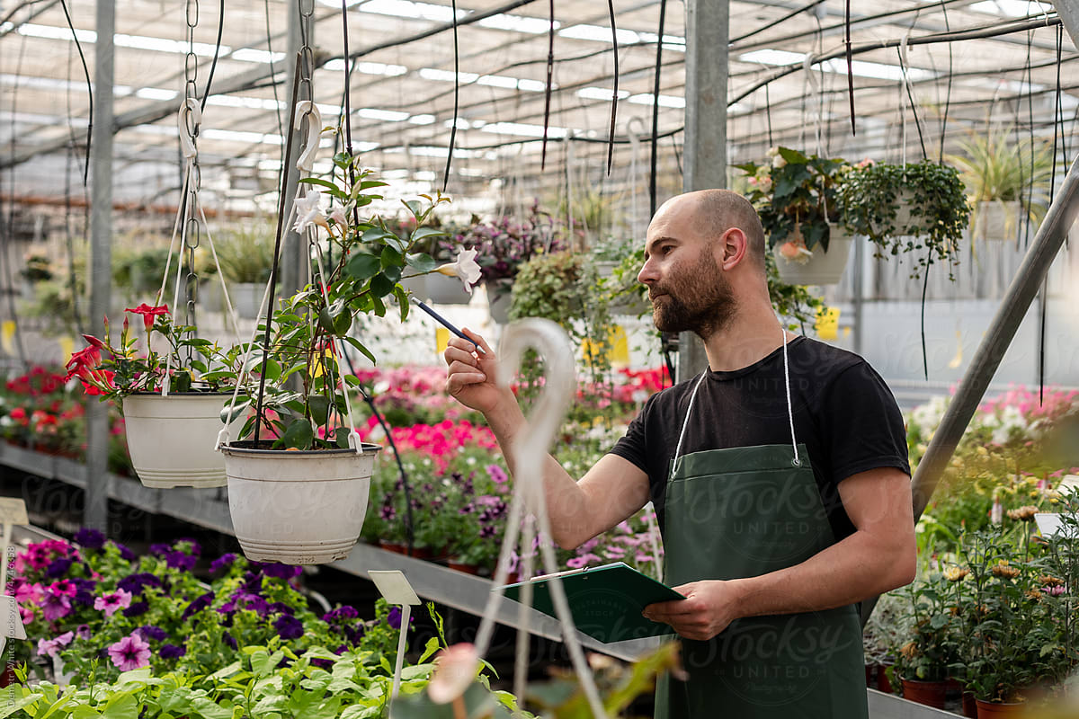 Man working inside greenhouse