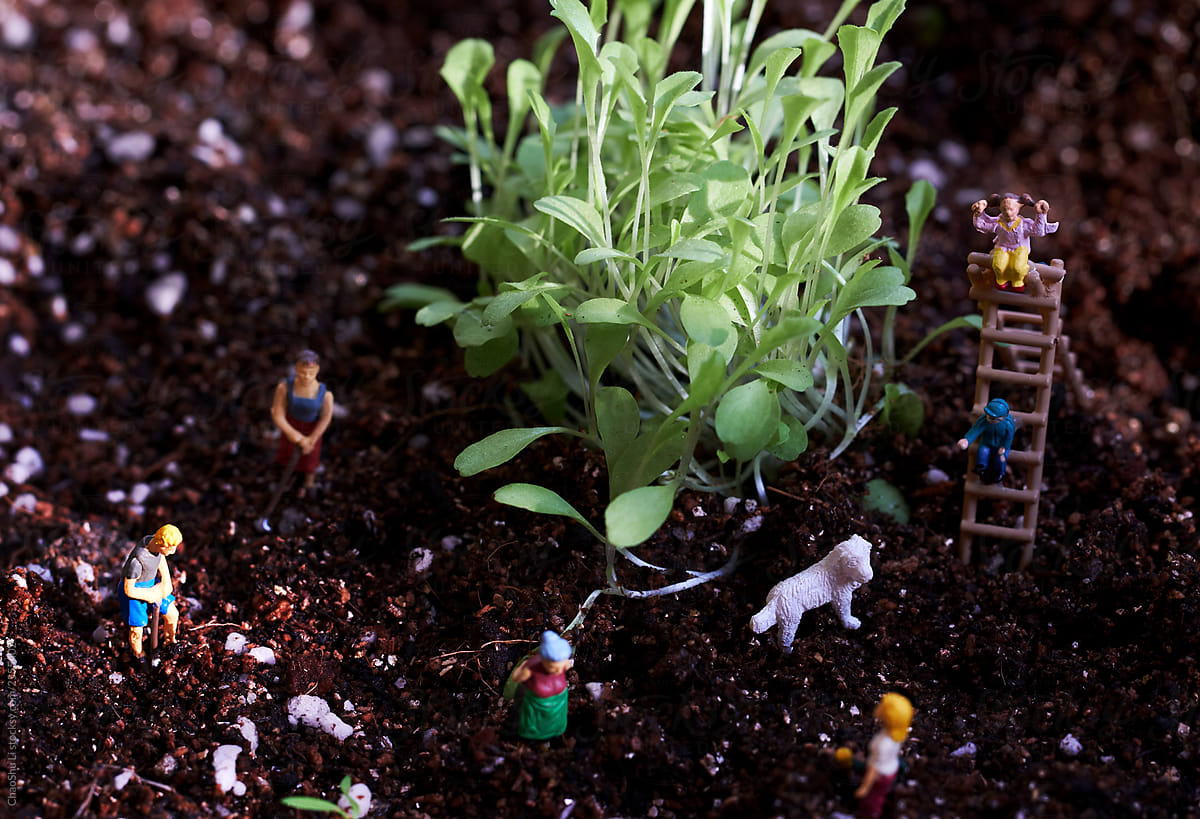 Close-up of miniature dolls in a balcony vegetable garden